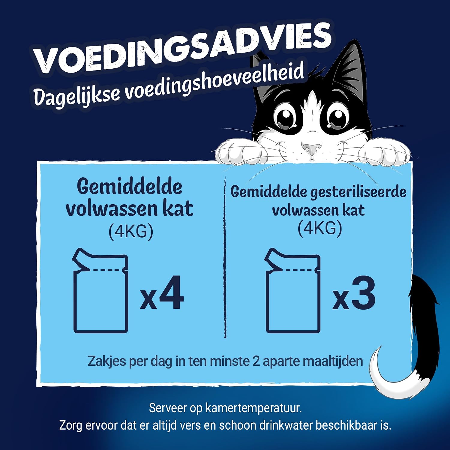 Vue 9