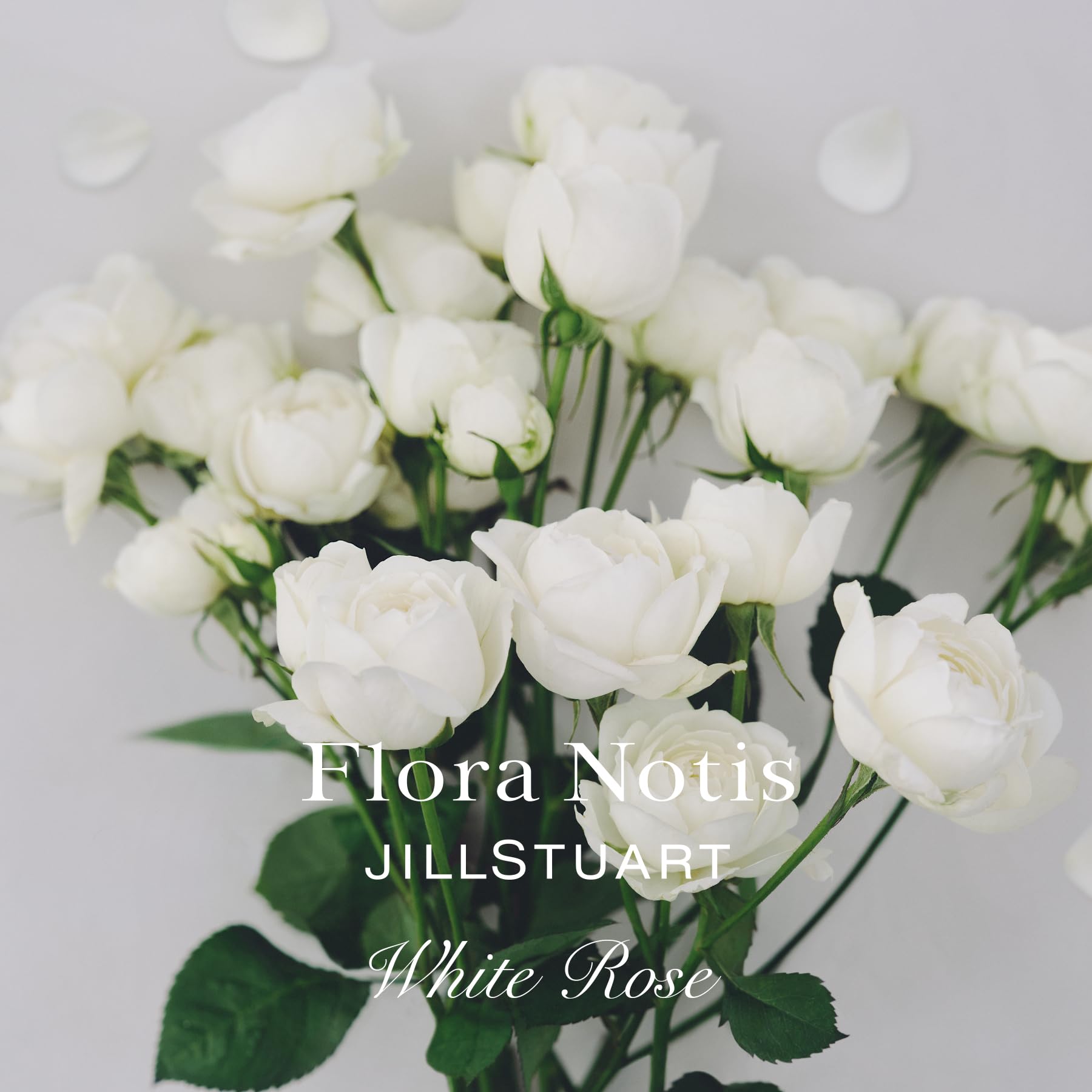 lee yuri fake nude Amazon.co.jp: Flora Notis JILLSTUART(フローラノーティス ジルスチュアート) ホワイトローズ オードパルファン  5mL 香水 : ホーム＆キッチン