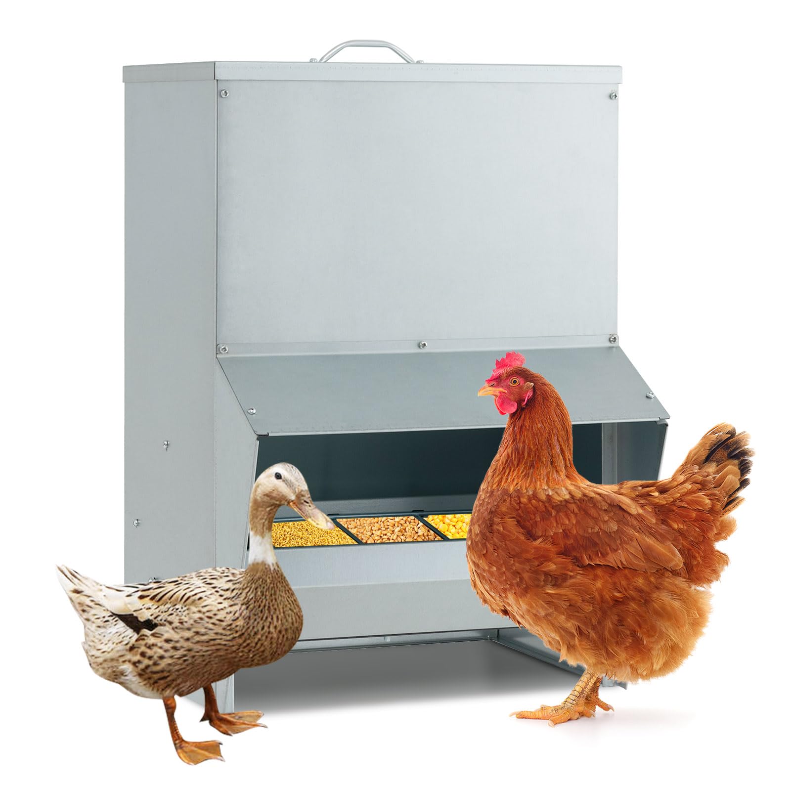 SOARS Mangiatoia per galline in metallo, capacità 22 kg, erogatore cibo su piedi e parete, con coperchio rimovibile, pre-foratura, per galline, oche, anatre, 35 x 26 x 54,5 cm