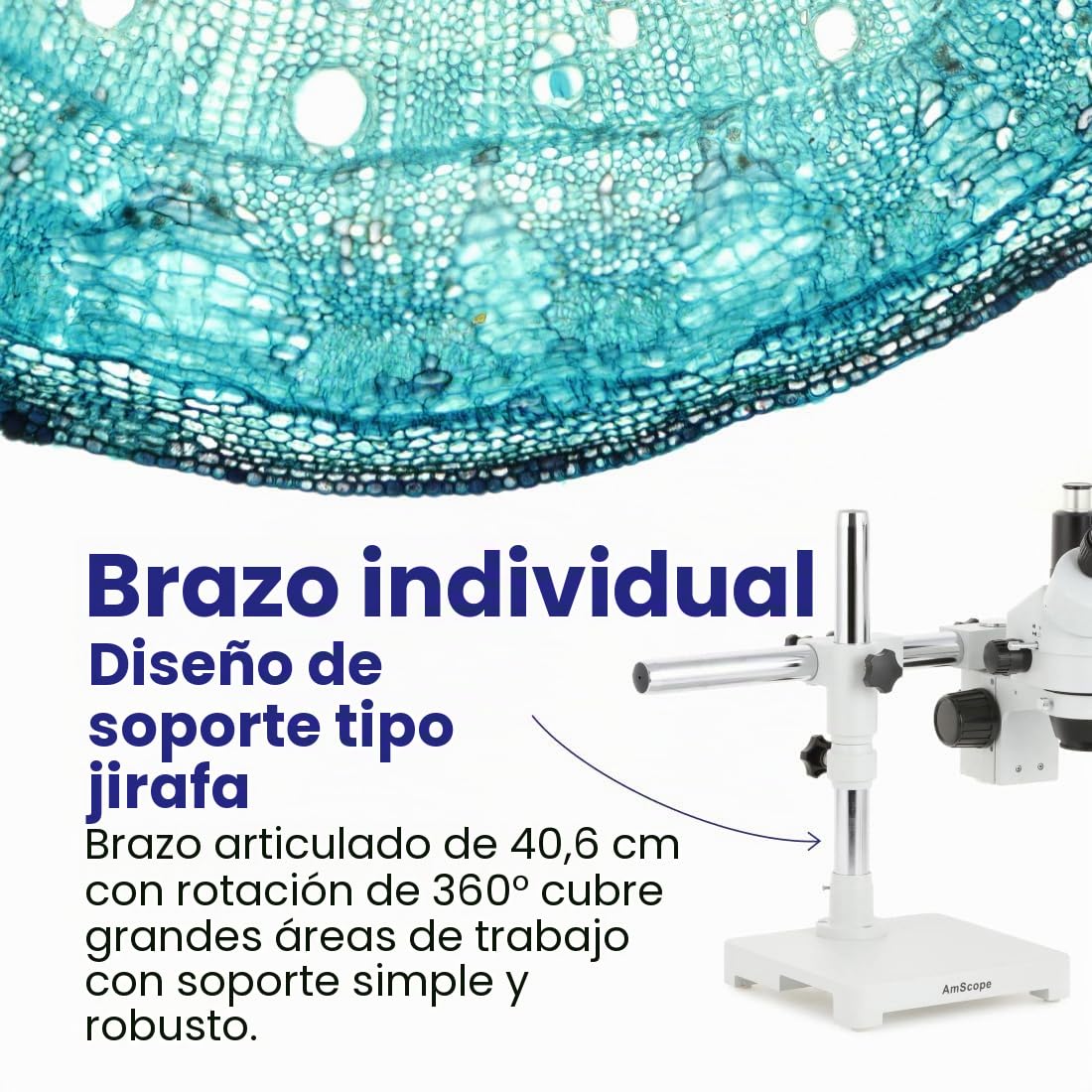 AmScope - Microscopio trinocular con zoom estéreo 7X-45X en soporte de un solo brazo - SM-3T