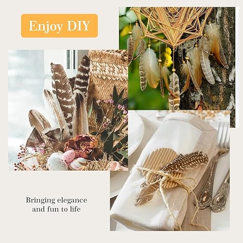 Miniatura 4 de 40 plumas de faisán naturales, plumas manchadas, plumas de pavo, 4 estilos de plumas para manualidades, sombrero de bricolaje, arreglos florales,