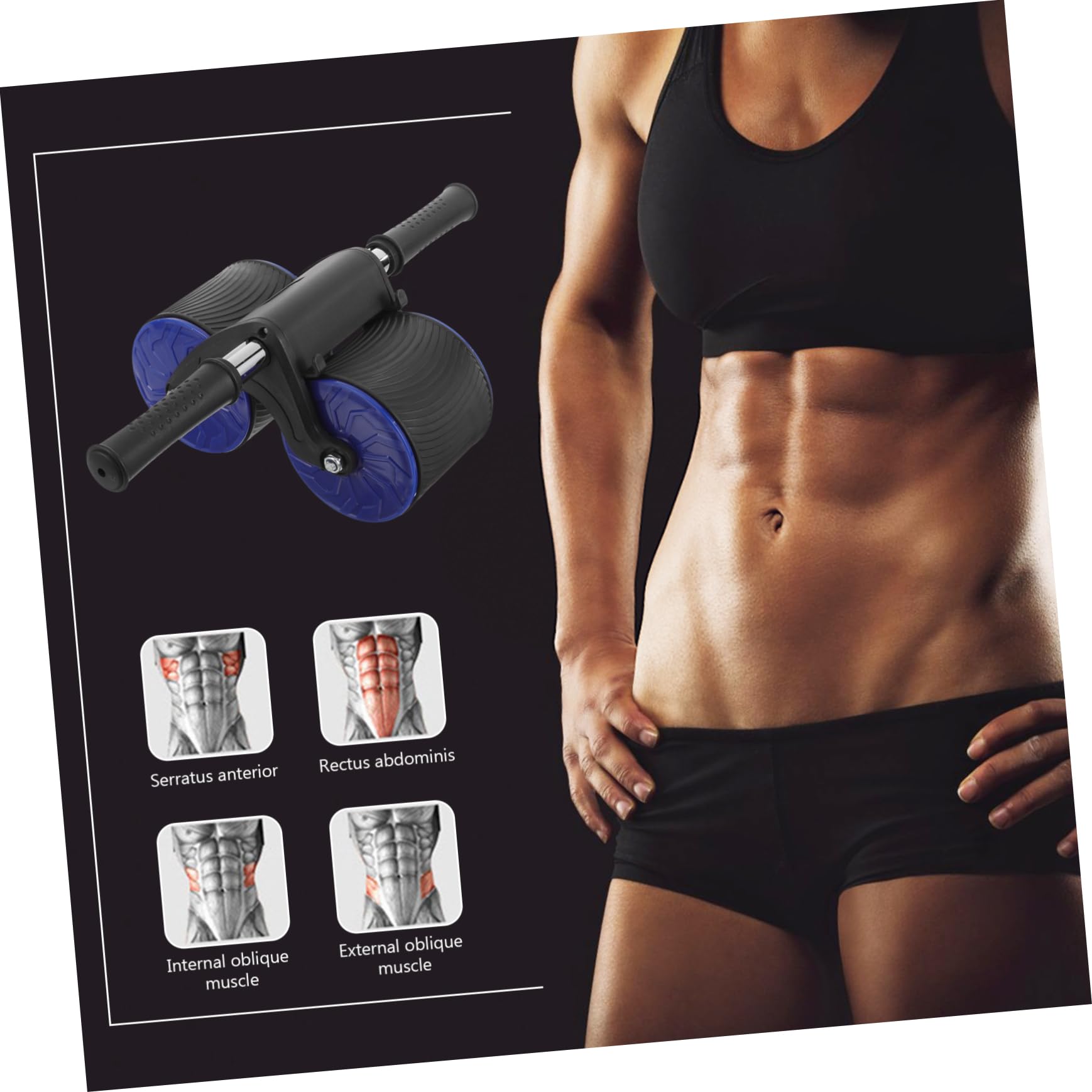 Toyvian Rueda para Abdominales con Rebote Automático, Textura Antideslizante y Diseño Portátil, 1 Set para Entrenamiento en Casa
