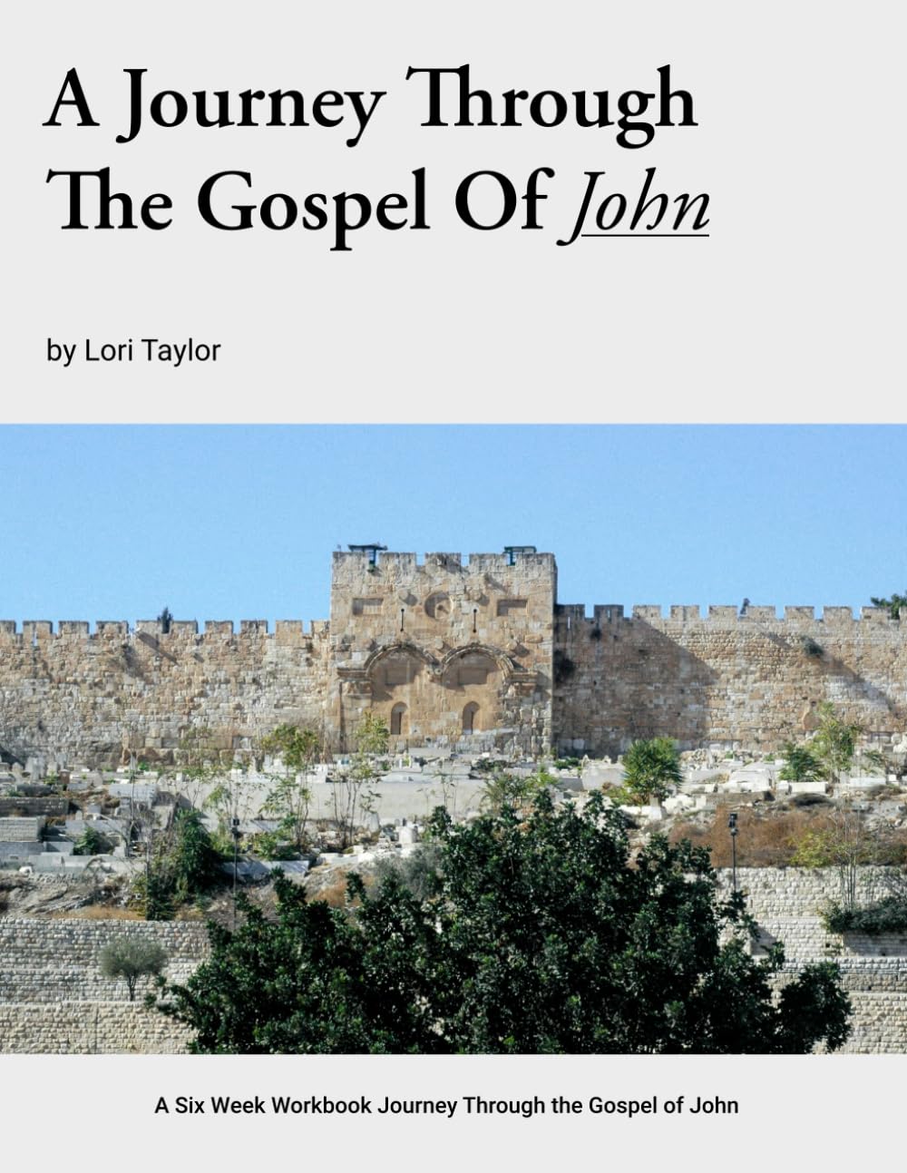 A Journey Through The Gospel Of John: A Six Week Workbook Journey Through the Gospel of John