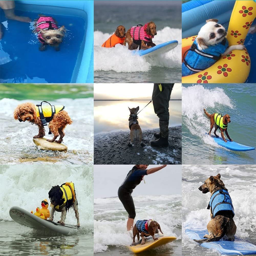 Chaleco Salvavidas Para Perros XXS - Flotabilidad, Transpirable, Reflectante, Para Natación Y Paseos