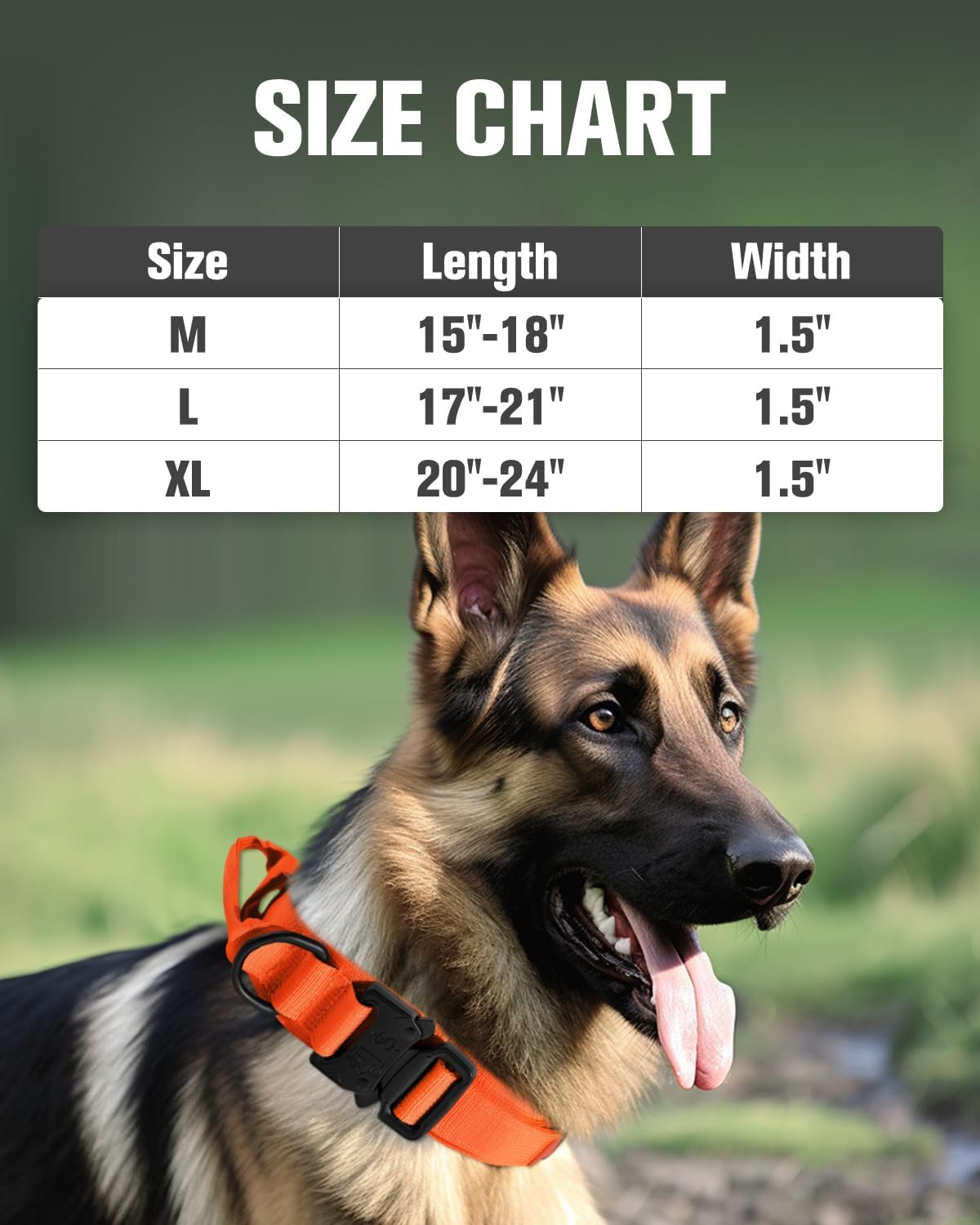 Joytale Tactical Dog Collar(17"-21") and Dog Leash Set, Shock Absorbing Bungee Dog Leash and Adjustable Strong Dog Collar with Handle for Large Dogs(Orange, L)