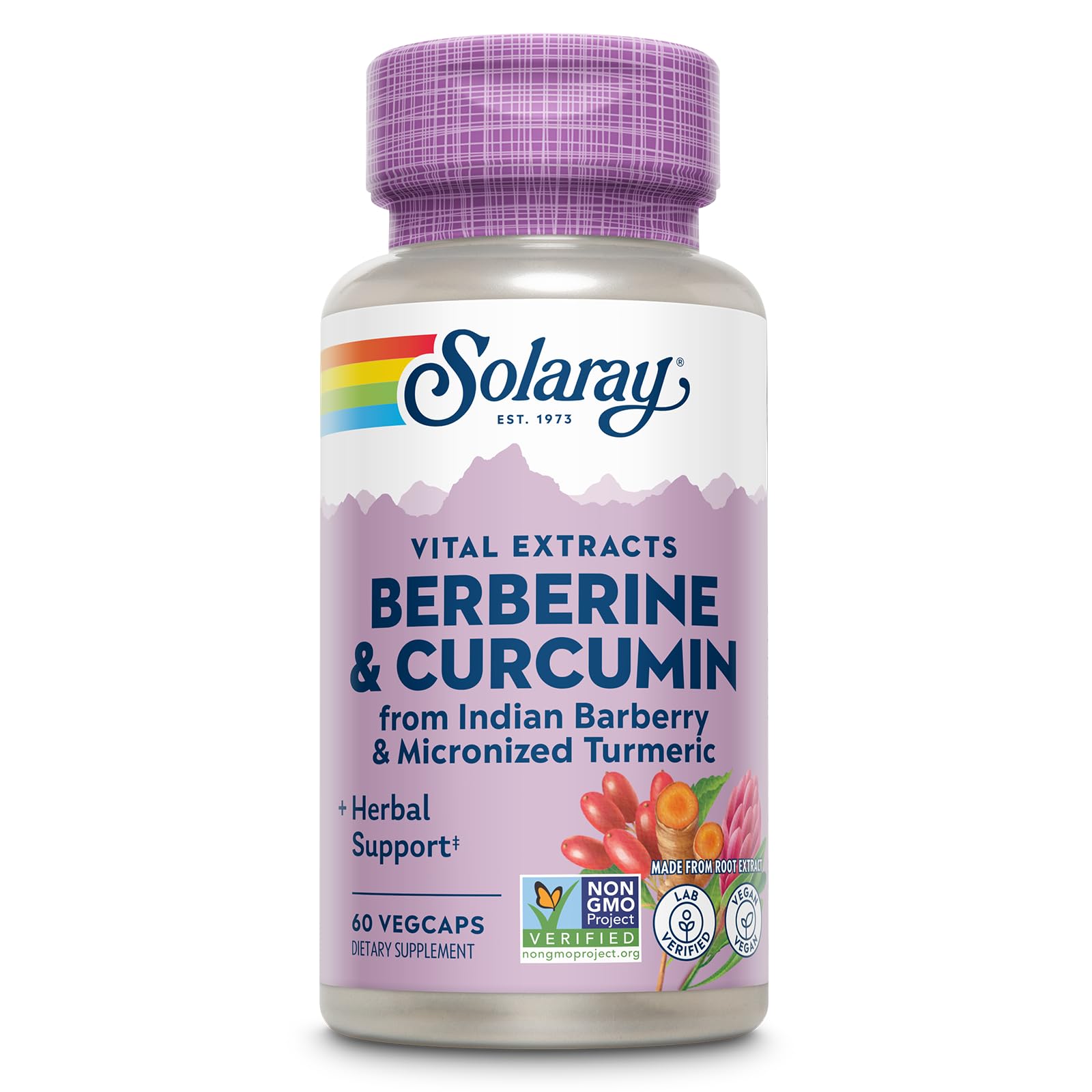 SOLARAY Berberine & Curcumin - Berberine Turmeric Supplement with 20% Micronized Curcumin from Turmeric Root - Herbal Wellness Support - Non-GMO, Vegan, Gluten Free, 60-Day Guarantee, 60 Servings