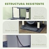 Ver la foto 4
