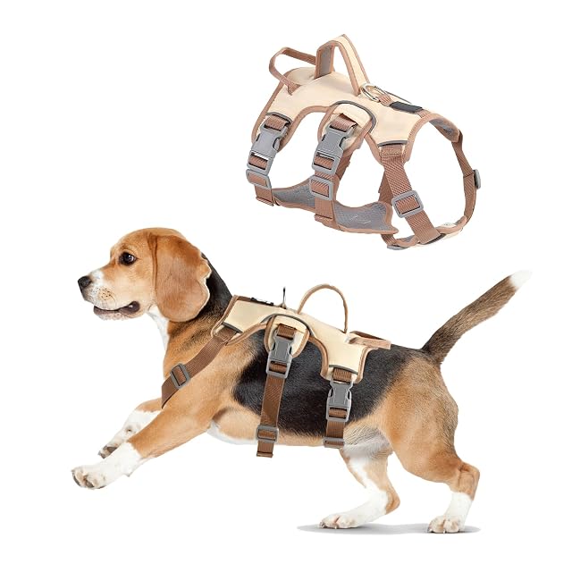 Foto 2 de 8 de Wisebom Arnés para Perros a Prueba de Escapes, Soporte Múltiple, Transpirable, Durable