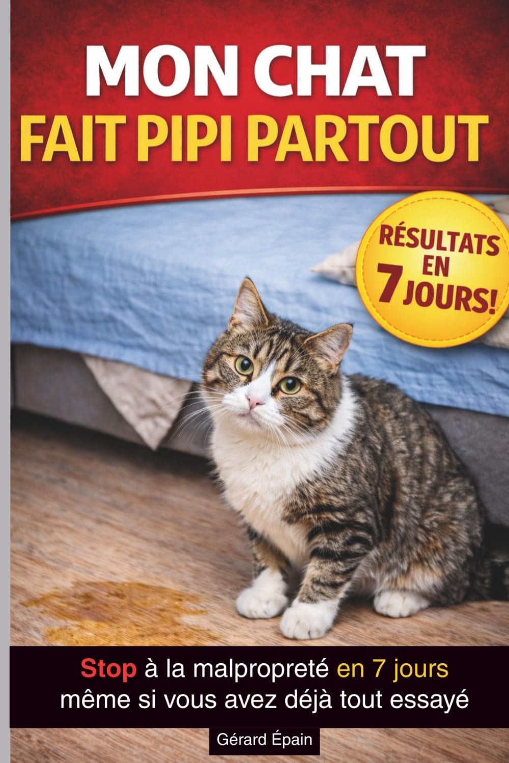 MON CHAT FAIT PIPI PARTOUT: Comprendre les causes et arrêter durablement les accidents