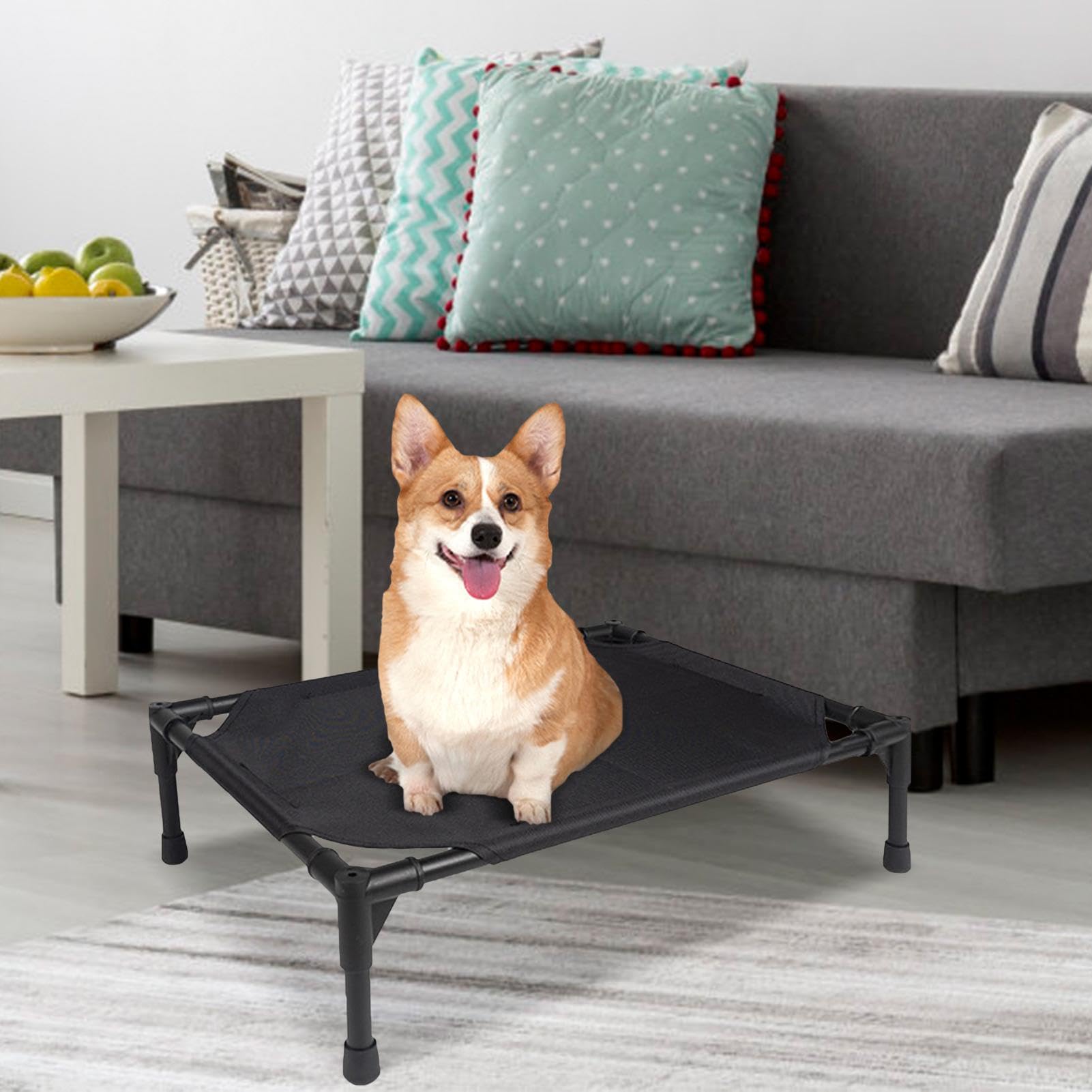 Cuccia Rialzata Per Cani Con Tetto Impermeabile E Baldacchino – Letto Da Esterno Per Campeggio E Spiaggia, Taglia L (92x76 Cm)