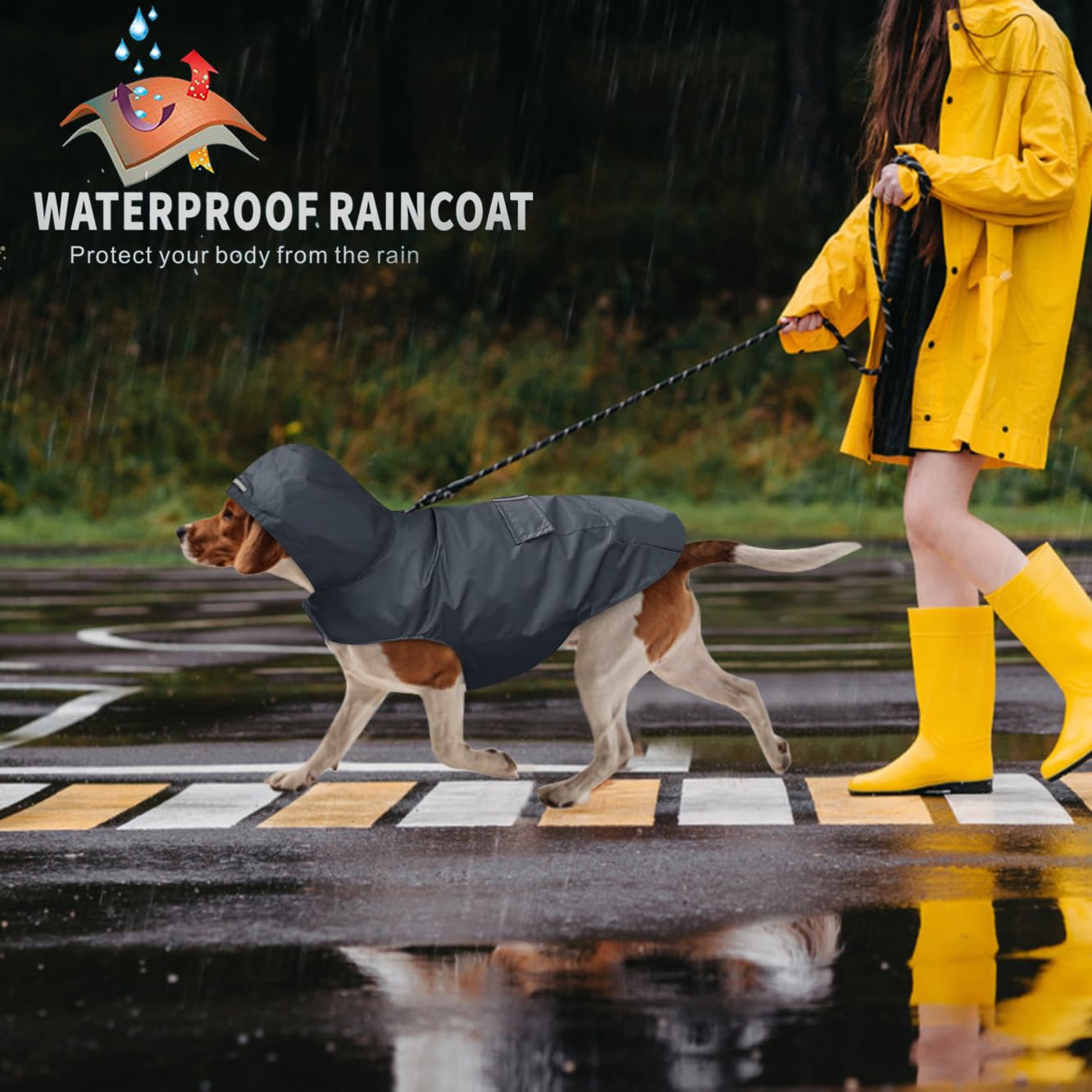 Impermeabile Per Cane Piccolo - Trasparente, Con Cappuccio, Regolabile | Taglia L