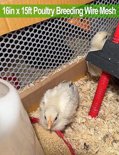 Miniatura 5 de TOYPOPOR Malla de alambre de plástico de 16 pulgadas x 15 pies, alambre de esgrima hexagonal para jardinería, valla de aves de corral, marco de