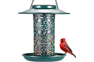 SWEETFULL Teal Bird Feeder: A Haven for Feathered Friends In Your Backyard Oasis