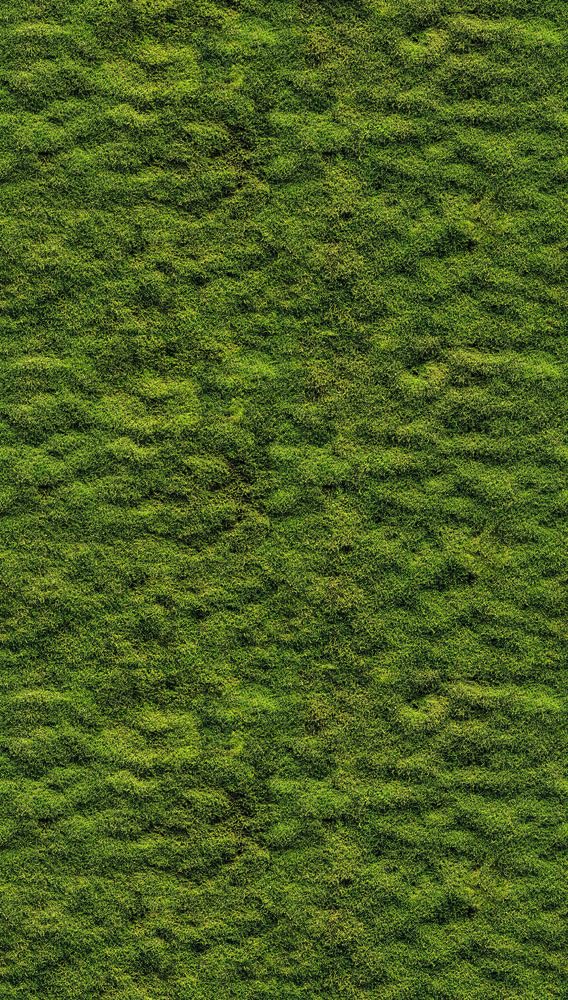 Livingwalls Fototapete Natur in Grün – Vliestapete, Motiv 398391, 1,59 m × 2,80 m, Made in Germany