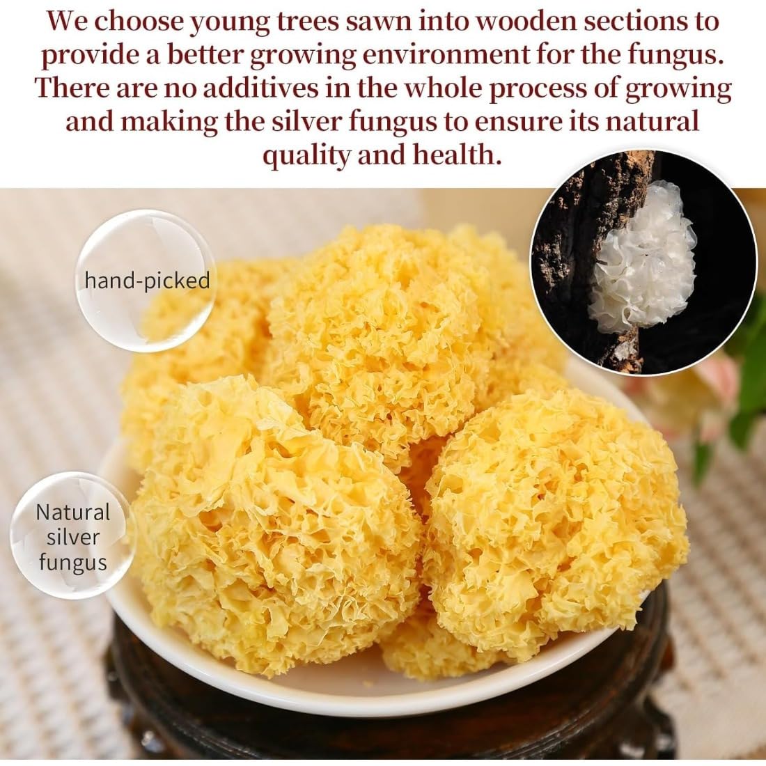 Hongos Blancos (Tremella Fuciformis), Hongos Nieve de Madera – 250g de Tremella Seca, Pequeños Hongos de Oído Plateado para Sopas y Postres – Naturales, Tendros y Nutritivos, Pequeños Tremella en Haya