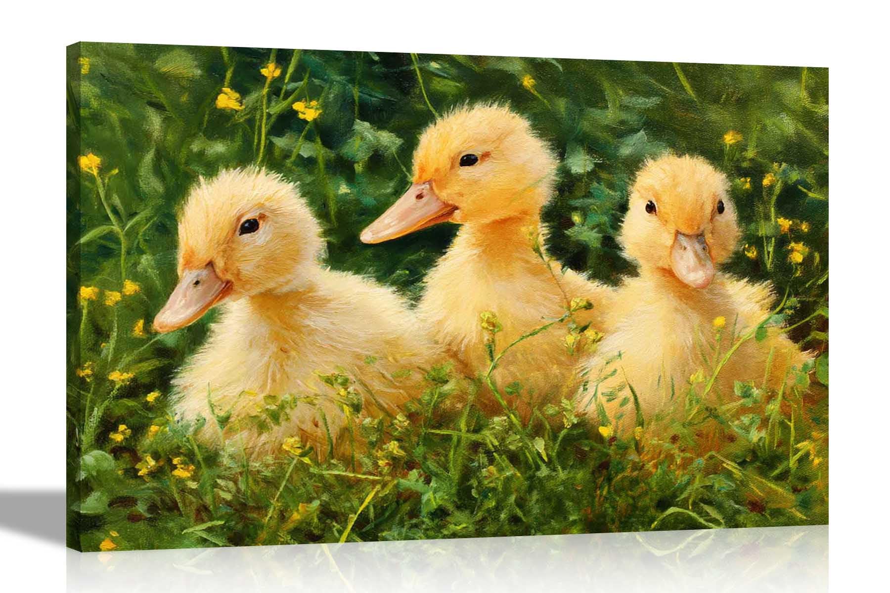 Artley Prints - Three Ducklings on Grass Canvas Wall Art Flower Print for Living Room Décor Framed Home Decoration 51 x 35cm (20 x 14 inches)