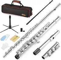 Eastar Flauta de orifício fechado de 16 teclas para crianças iniciantes com kit de limpeza, suporte, estojo, luvas, haste de afinação, níquel, EFL-1