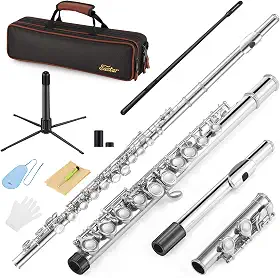 Eastar Flauta de orifício fechado de 16 teclas para crianças iniciantes com kit de limpeza, suporte, estojo, luvas, haste de afinação, níquel, EFL-1