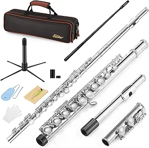 Eastar C Flutes Closed Hole 16 Keys Flute for Beginner Kids Student Flute Instrument with Cleaning Kit, Stand, Carrying Case, Gloves, Tuning Rod, Nickel, EFL-1