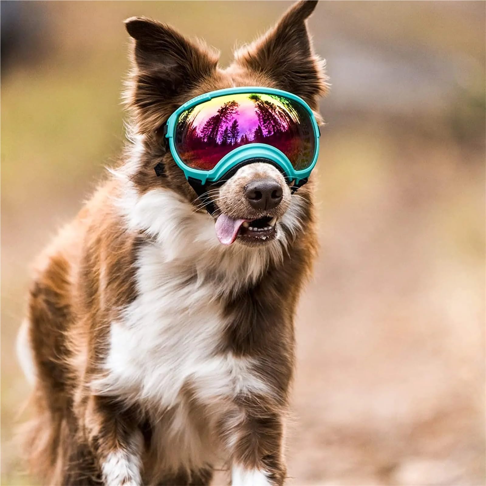 Hundebrille,Hundebrille FüR Kleine Hunde Hundebrille, Anti-UV, Starke Schlagfestigkeit, verstellbare, elastische, atmungsaktive Haustier-Sonnenbrille(Blue and Silver,S)