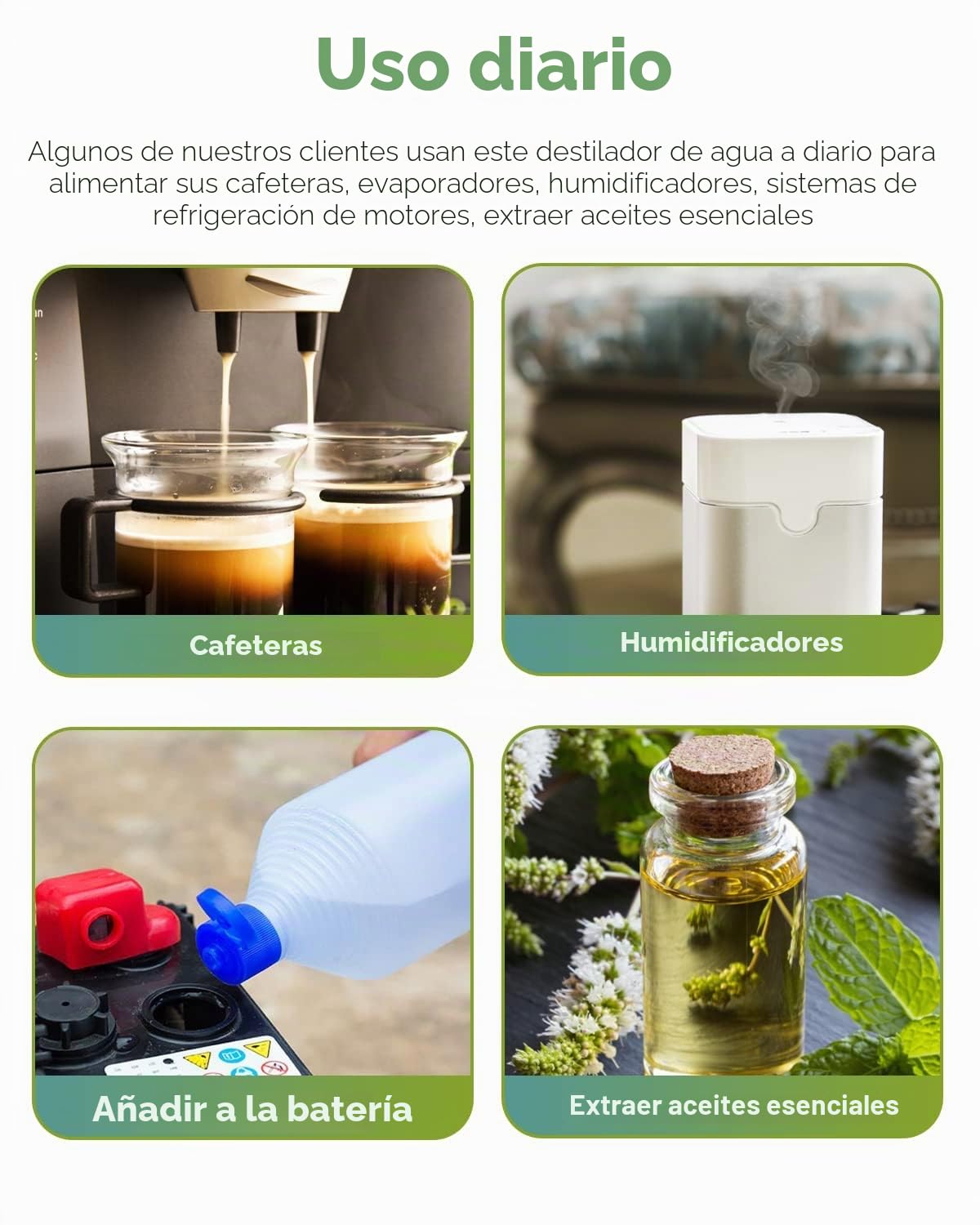 Destilador de Agua de Acero Inoxidable Para el Hogar - Destilación en Casa Con Jarra de Cristal de 220 V