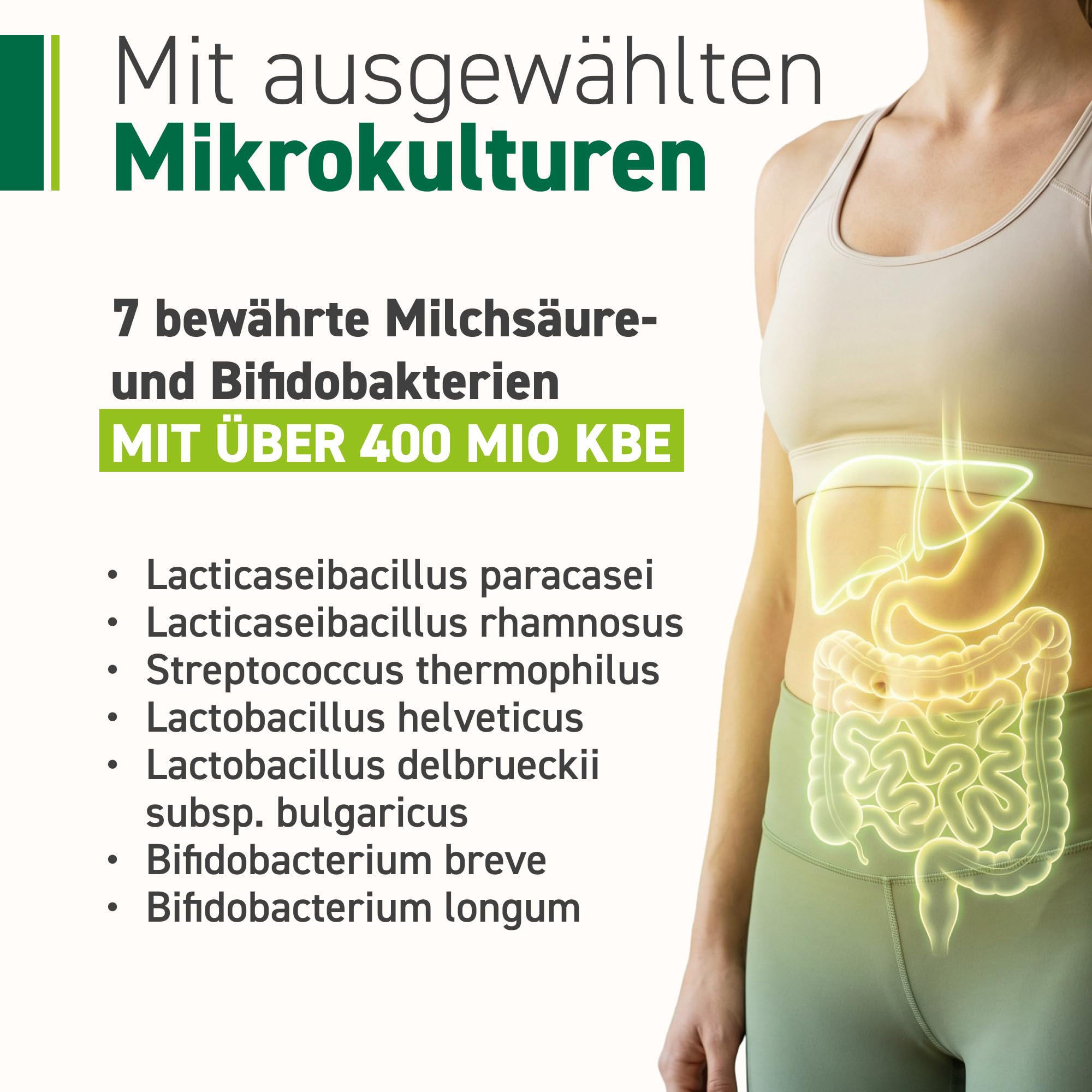 Omniflora Hepar Complex – Mariendistel, Cholin & 7 Kulturen – 30 Sachets | Cholin für eine normale Leberfunktion · Mit Mariendistel, Artischocke & 7 Bakterienkulturen · 2-Kammer-Sachet · Glutenfrei
