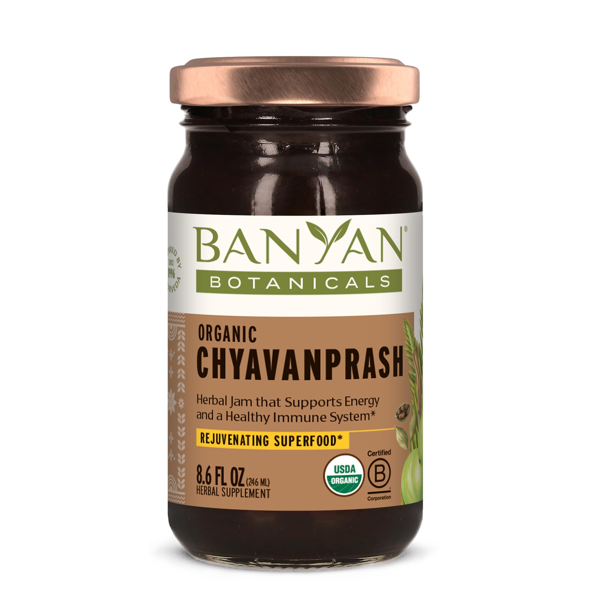 Organic Chyavanprash (Chyawanprash) – Ayurvedic Herbal Jam with Amla & Ashwagandha – for The Immune System & Whole-Body Rejuvenation – 9.4oz – Non GMO Sustainably Sourced Vegetarian