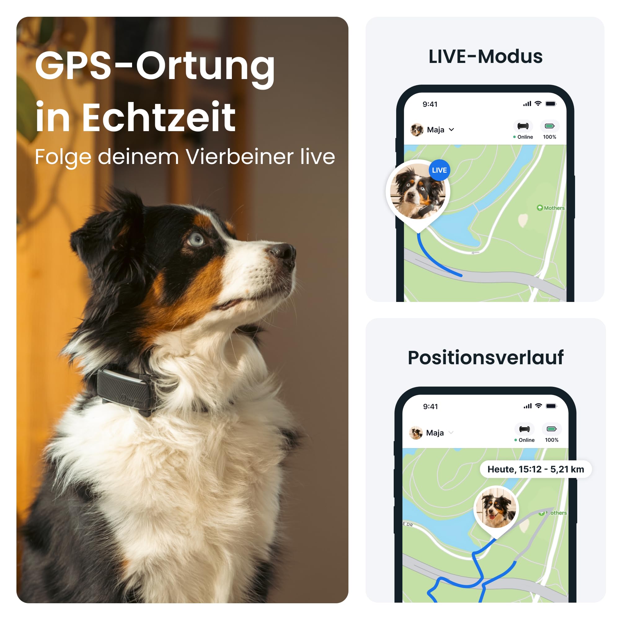 Tractive GPS Tracker Hund 2025 Edition Live-Ortung Weglaufalarm Aktivitätstracking Schwarz
