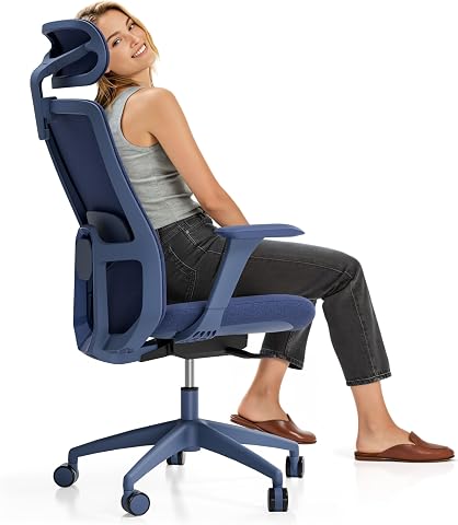 Desktronic Ergonomic Office Chair with Lumbar Support and Adjustable Features