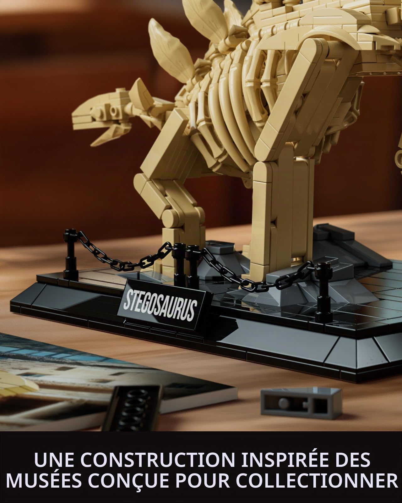 Nifeliz Fossiles de Dinosaures Le Crâne du Stegosaurus Set de Construction pour Adultes, 665 Pièces
