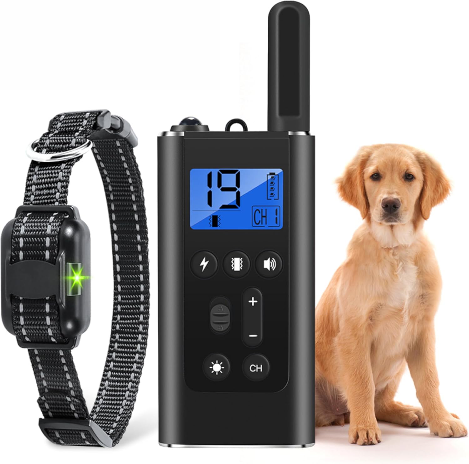 Collier Anti Aboiement Chien : Test Complet et Avis Fiable