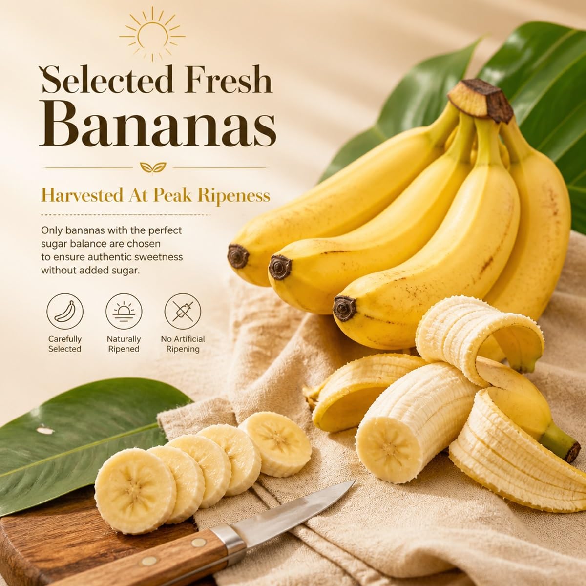 Chips Banana Crujientes Fruta Seca Snack Horneado Lento
