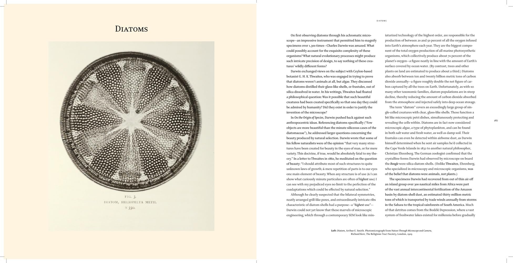 Nanocosmos: Journeys in Electron Space
