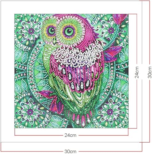 Miniatura 6 de Hibah Pintura de diamante DIY 5D forma especial Rhinestone, búho, diamante parcial de diamante de cristal conjunto de pintura de diamante (Owl 1)