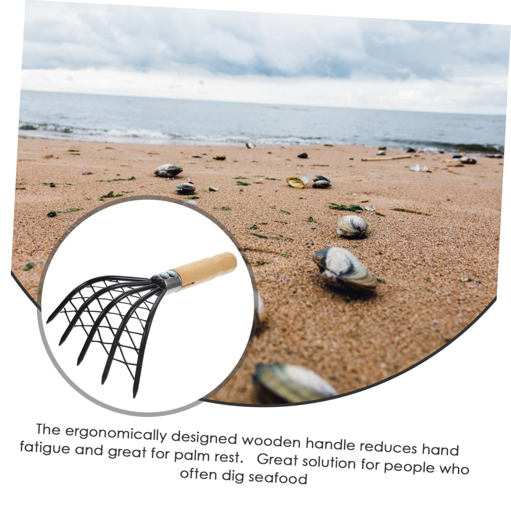 BESTonZON 2stücke Muschelrechen Mit Holzgriff Werkzeug Zum Ausgraben Von Muscheln Und Meeresfrüchten Für Strand Langlebig Und rutschfest Effizient Und Benutzerfreundlich