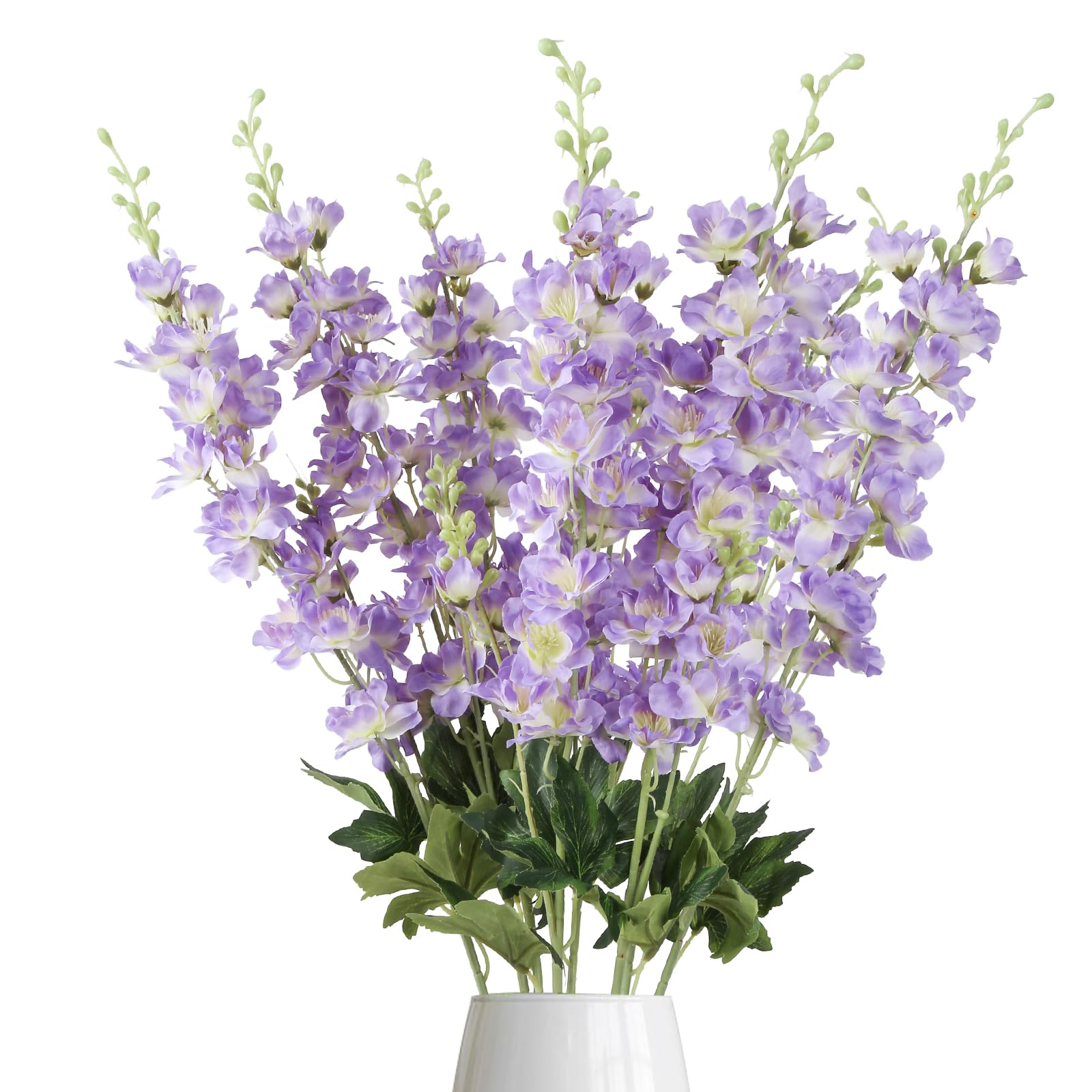 Fqueelvys Delphinium