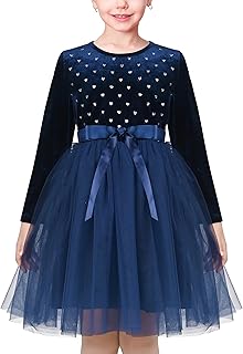 Sunny Fashion Girls Dress Blue Heart Tulle Party Velvet Holiday Winter Warm Party
