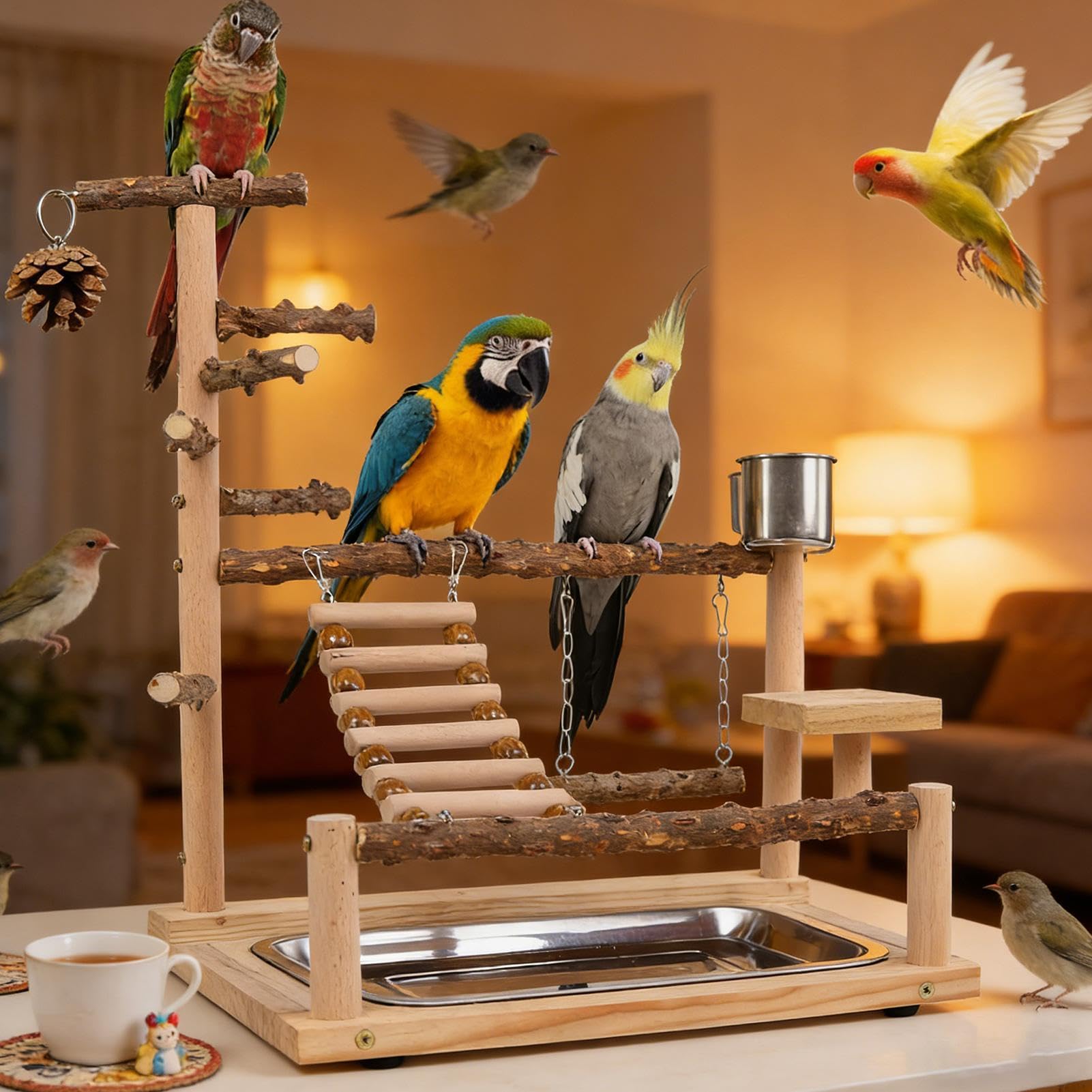 Perchoir de pour Oiseaux Espace de en Bois