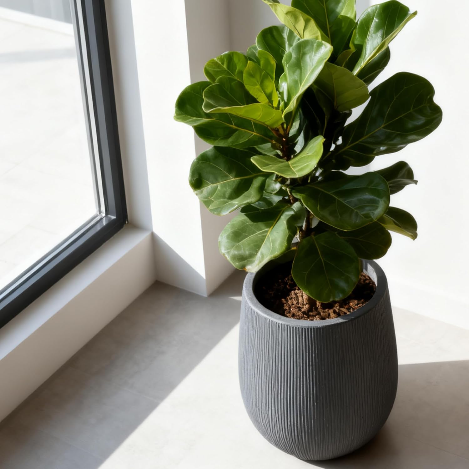 Worth Garden Large Dark Gray Round Planter, 12.5" x 18.5" Lightweight Magnesium Oxide Cement Plant Pot with a Striped Textured Finish, Raised Pattern Concrete Look, Drainage Hole, Indoor & Outdoor