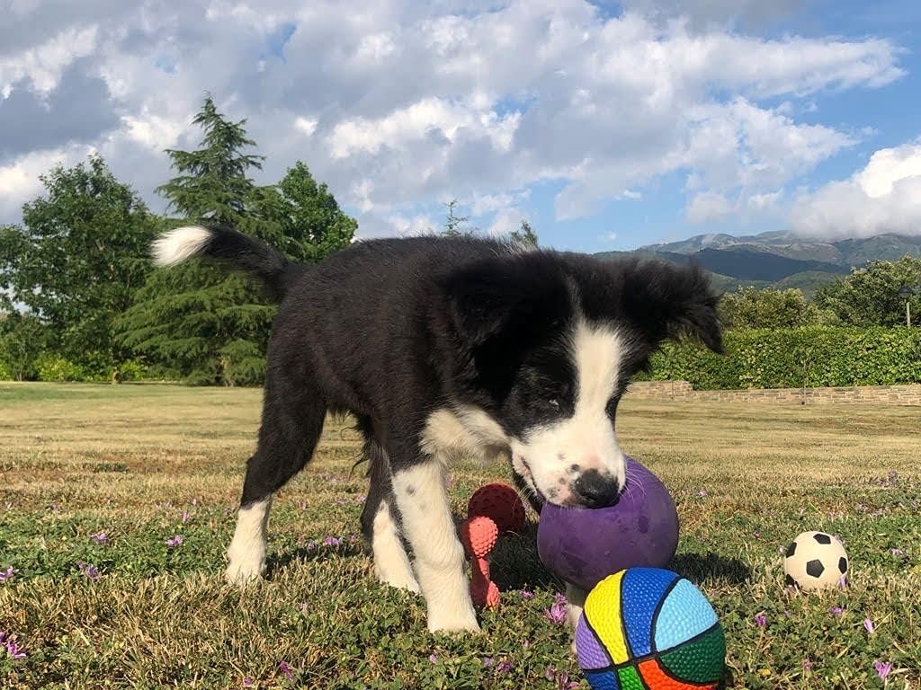 Lanco Rainbow Ball 100% Natural Rubber 8424678017115