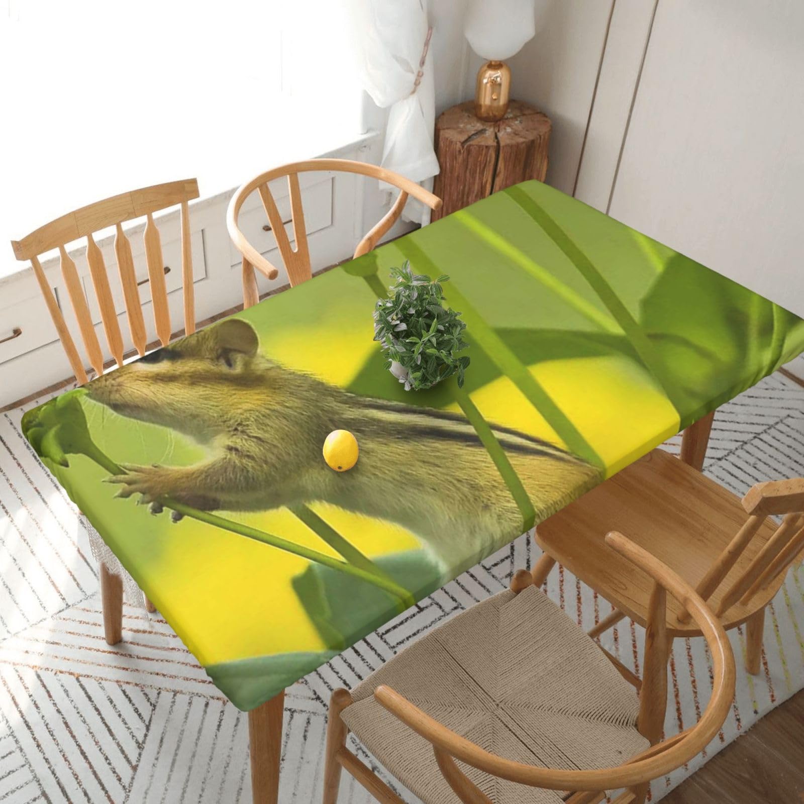 DCEHGEW Elastic Fitted Rectangle Tablecloth for 5ft Tables, Wildlife Squirrel Flowers Printed Oilproof & Washable Fabric Picnic Table Cloth Table Covers