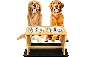 Yangbaga Elevated Dog Bowls with Stand: The Ultimate Feeding Station for Large Dogs
