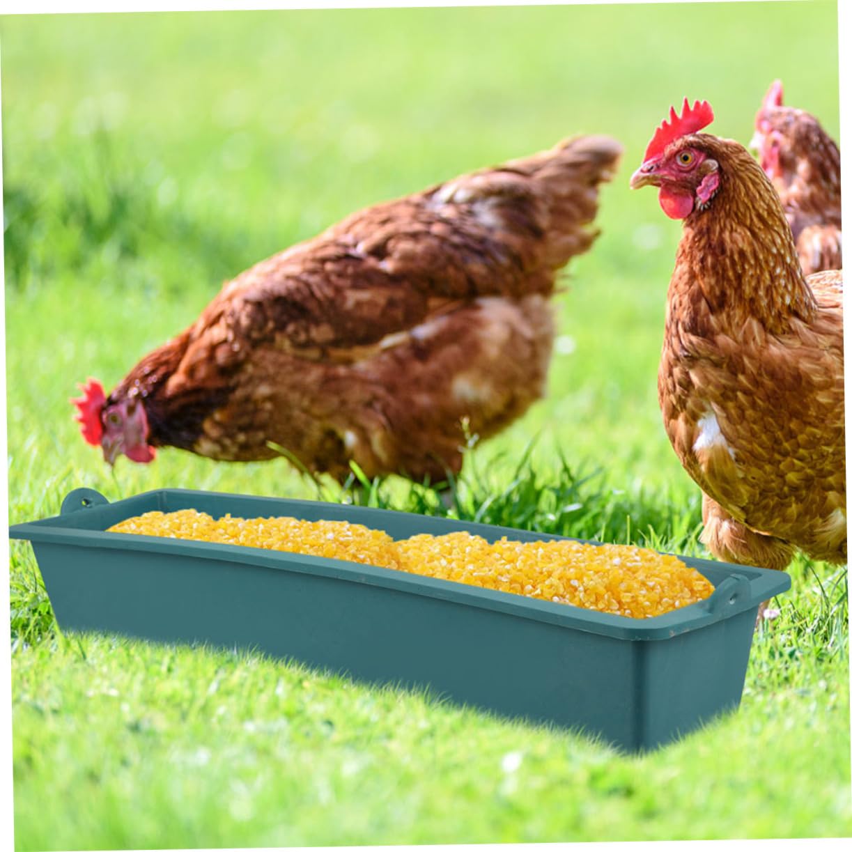 Yardwe 3 Set Di Mangiatoie Per Pollame Mangiatoie Per Polli Mangiatoie Per Parrocchetti Mangiatoie Per Bestiame Mangiatoie Per Lallevamento Durata 2 Pezzi * 3