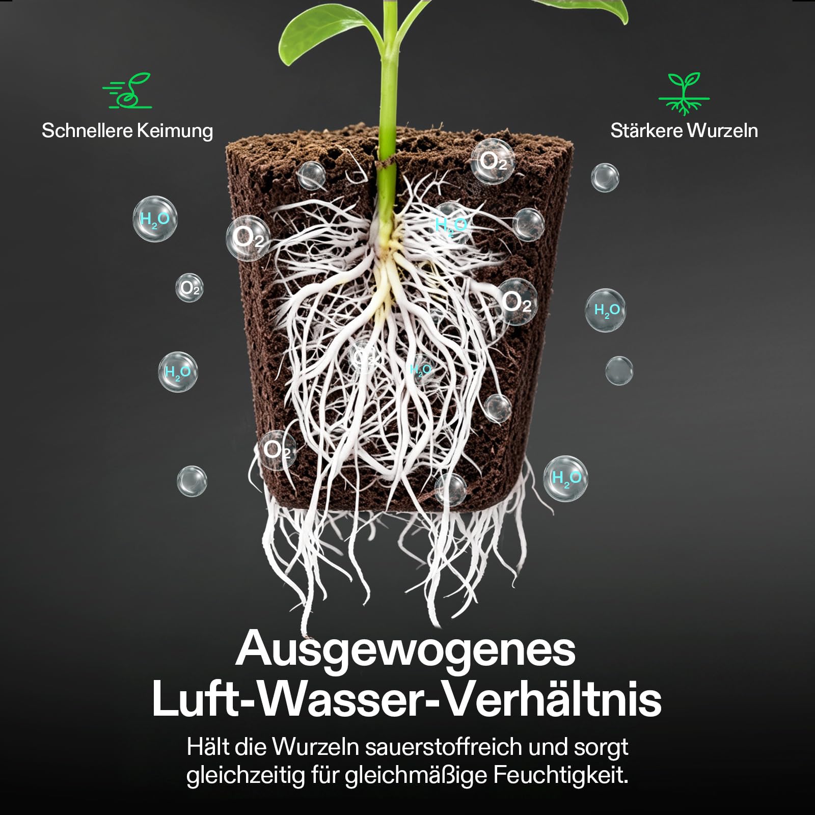 VIVOSUN Seed Rooter Anzuchtwürfel, 40 Stück Pflanzstarter für Stecklinge & Sämlinge, Schnelle Keimung & starke Wurzeln, Passend für VSeed Smart Box und Anzuchtschalen