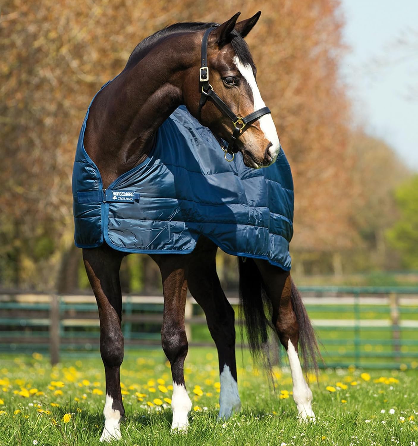 Horseware Blanket Liner 200g 75