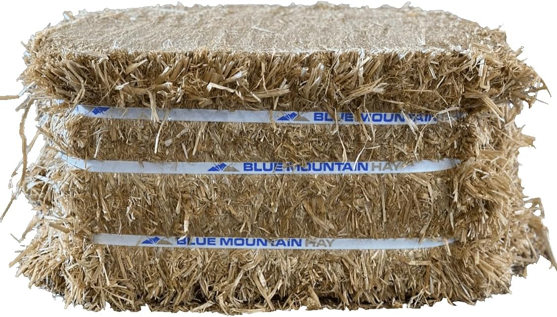 Blue Mountain Hay 50 lb Smart Straw Easy Bale Box, Certified Weed-Free All-Natural Wheat Straws for Bedding, Chicken Coop Use, Garden Mulch, Raised Garden Bed, Landscaping, Biodegradable