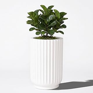 Classic Roman Column Style Planter | 20