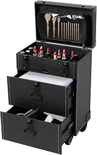 Rolling Makeup Case, Professional Cosmetic Train Case Trolley Roll Travel Box Large Capacity Salon Travel Case for Makeup Artist, Hairstylists, Nail Tech Makeup (Style 2)