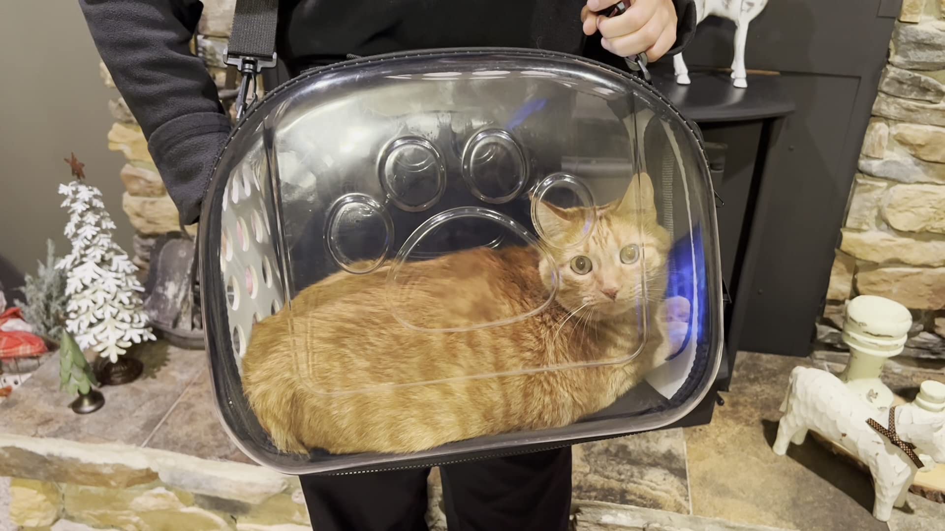 Zaino trasparente traspirante per animali domestici, per gatti, zaino per cani, zaino da viaggio approvato dalla compagnia aerea, progettato per passeggiate in viaggio.