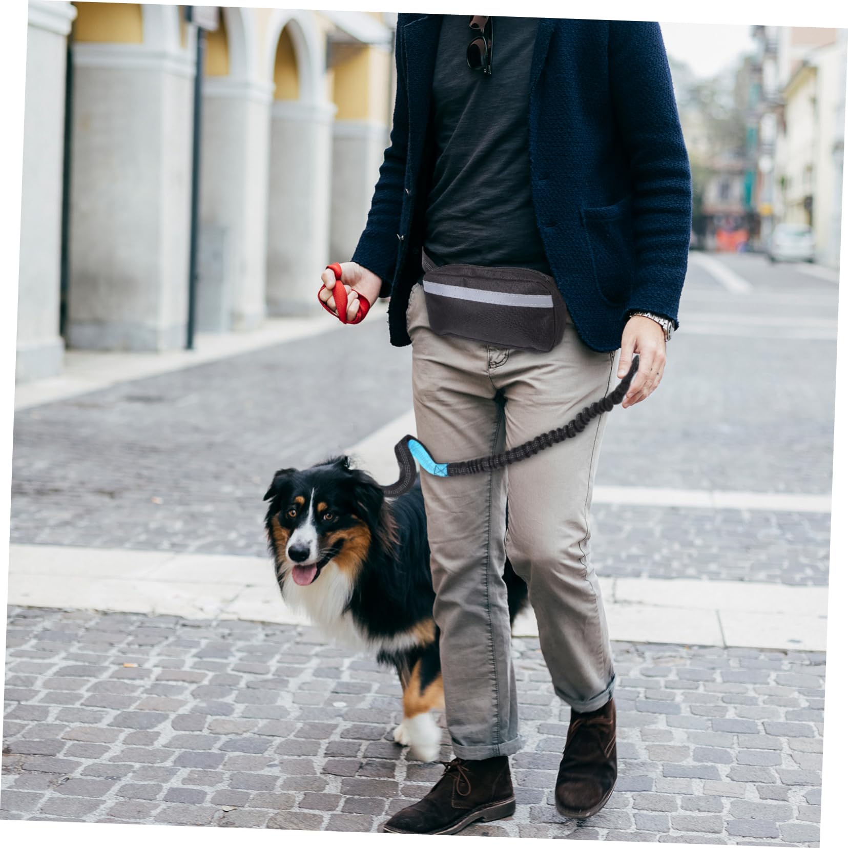 iplusmile Guinzaglio Elastico per Cani con Cintura da Corsa Riflettente e Marsupio per Passeggiate Escursioni e Attività all Aperto